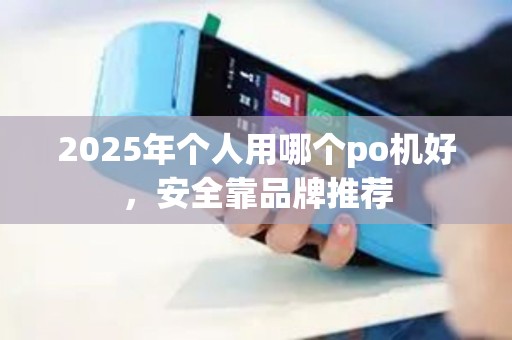 2025年个人用哪个po机好，安全靠品牌推荐