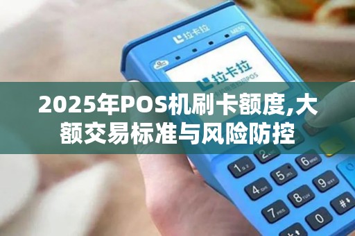 2025年POS机刷卡额度,大额交易标准与风险防控