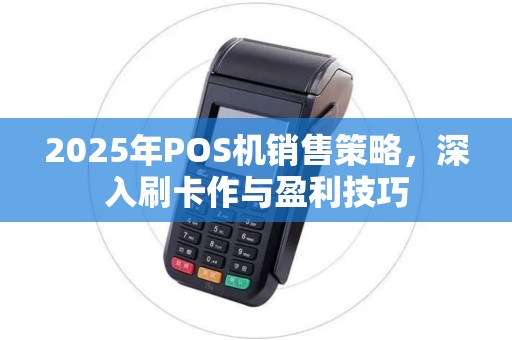 2025年POS机销售策略，深入刷卡作与盈利技巧