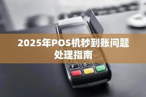 2025年POS机秒到账问题处理指南