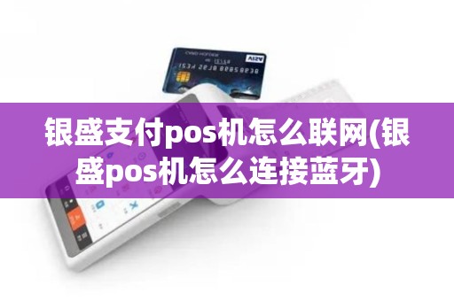 银盛支付pos机怎么联网(银盛pos机怎么连接蓝牙) 银盛支付pos机怎么联网(银盛pos机怎么连接蓝牙)