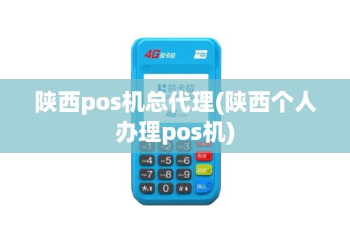 陕西pos机总代理(陕西个人办理pos机)