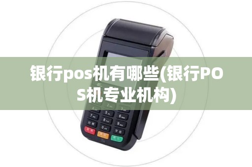 银行pos机有哪些(银行POS机专业机构)