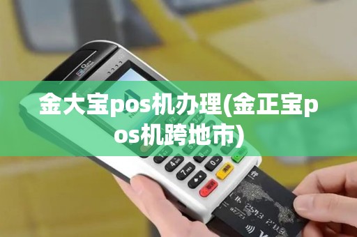 金大宝pos机办理(金正宝pos机跨地市)