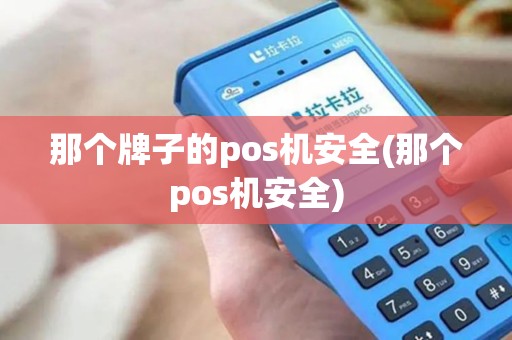 那个牌子的pos机安全(那个pos机安全)