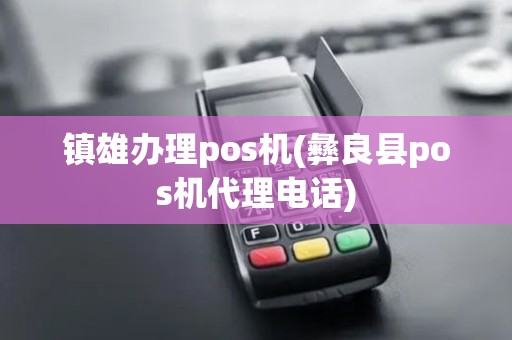 镇雄办理pos机(彝良县pos机代理电话)