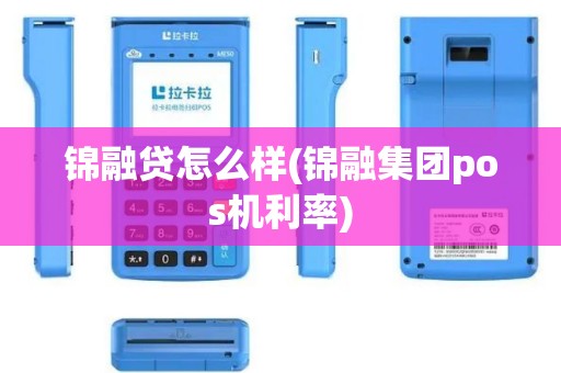锦融贷怎么样(锦融集团pos机利率)