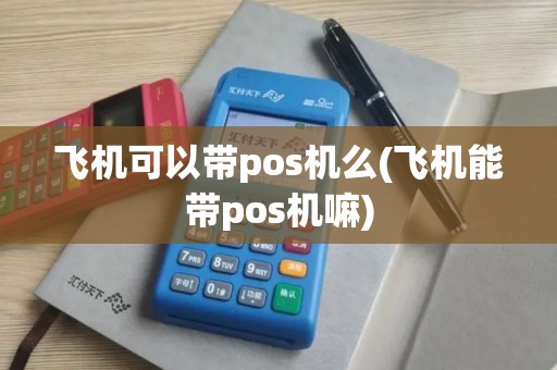 飞机可以带pos机么(飞机能带pos机嘛)