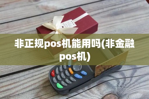 非正规pos机能用吗(非金融pos机)