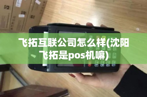 飞拓互联公司怎么样(沈阳飞拓是pos机嘛)
