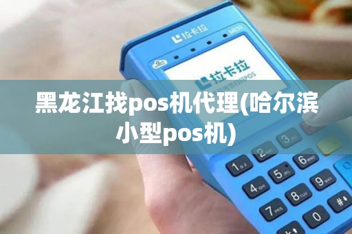 黑龙江找pos机代理(哈尔滨小型pos机)