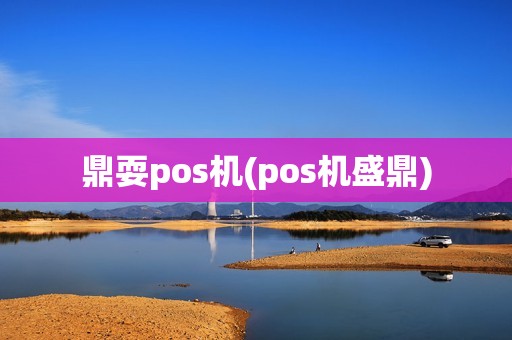 鼎耍pos机(pos机盛鼎)