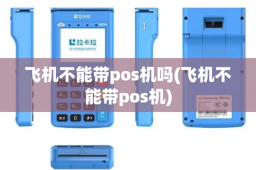 飞机不能带pos机吗(飞机不能带pos机)