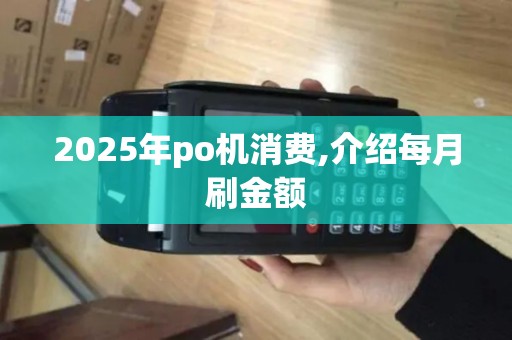 2025年po机消费,介绍每月刷金额