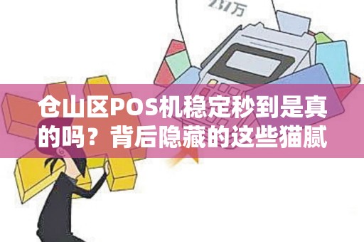 仓山区POS机稳定秒到是真的吗？背后隐藏的这些猫腻你一定要知道！