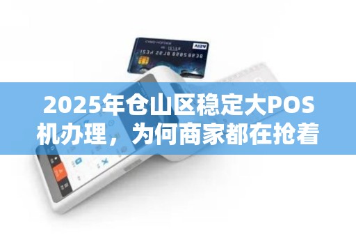 2025年仓山区稳定大POS机办理，为何商家都在抢着办？真相让人意外！