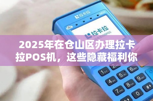 2025年在仓山区办理拉卡拉POS机，这些隐藏福利你都知道吗？