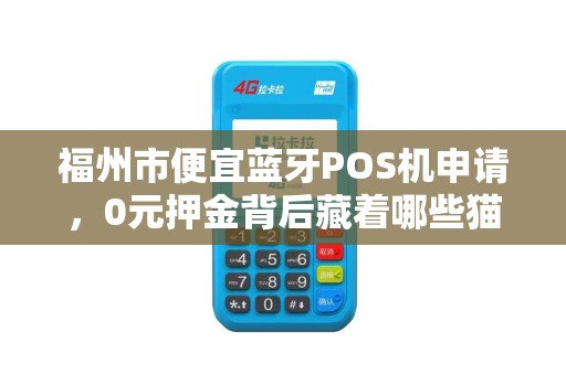 福州市便宜蓝牙POS机申请，0元押金背后藏着哪些猫腻？