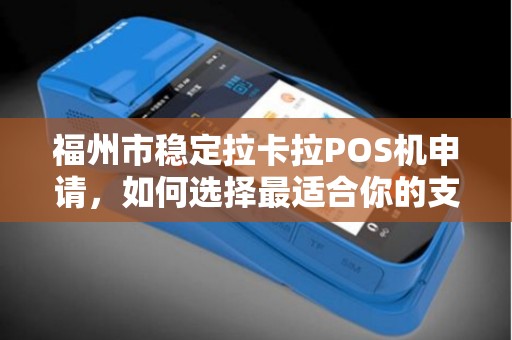 福州市稳定拉卡拉POS机申请，如何选择最适合你的支付解决方案？