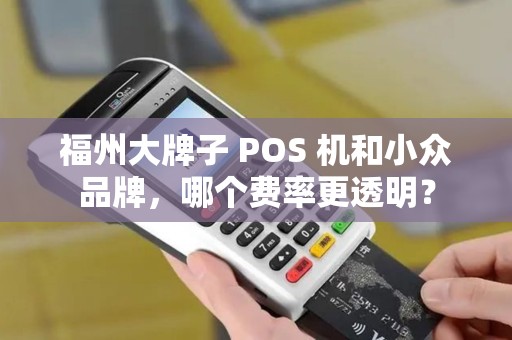 福州大牌子 POS 机和小众品牌，哪个费率更透明？