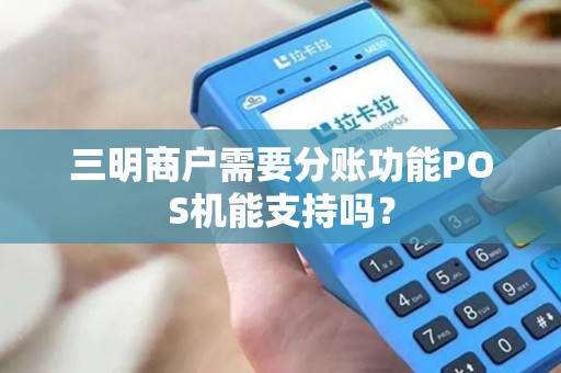 三明商户需要分账功能POS机能支持吗？