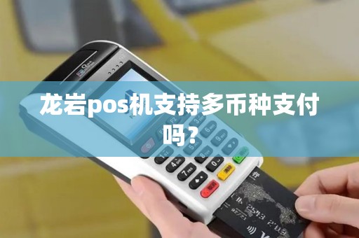 龙岩pos机支持多币种支付吗？
