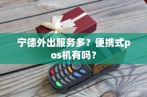宁德外出服务多？便携式pos机有吗？