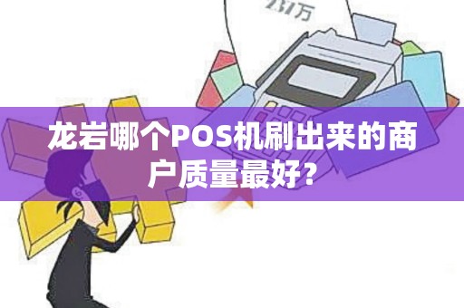 龙岩哪个POS机刷出来的商户质量最好？