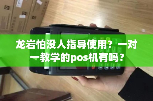 龙岩怕没人指导使用？一对一教学的pos机有吗？