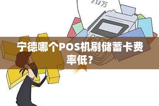 宁德哪个POS机刷储蓄卡费率低？
