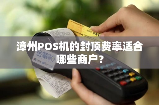 漳州POS机的封顶费率适合哪些商户？