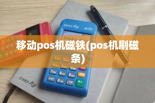 移动pos机磁铁(pos机刷磁条) 移动pos机磁铁(pos机刷磁条)